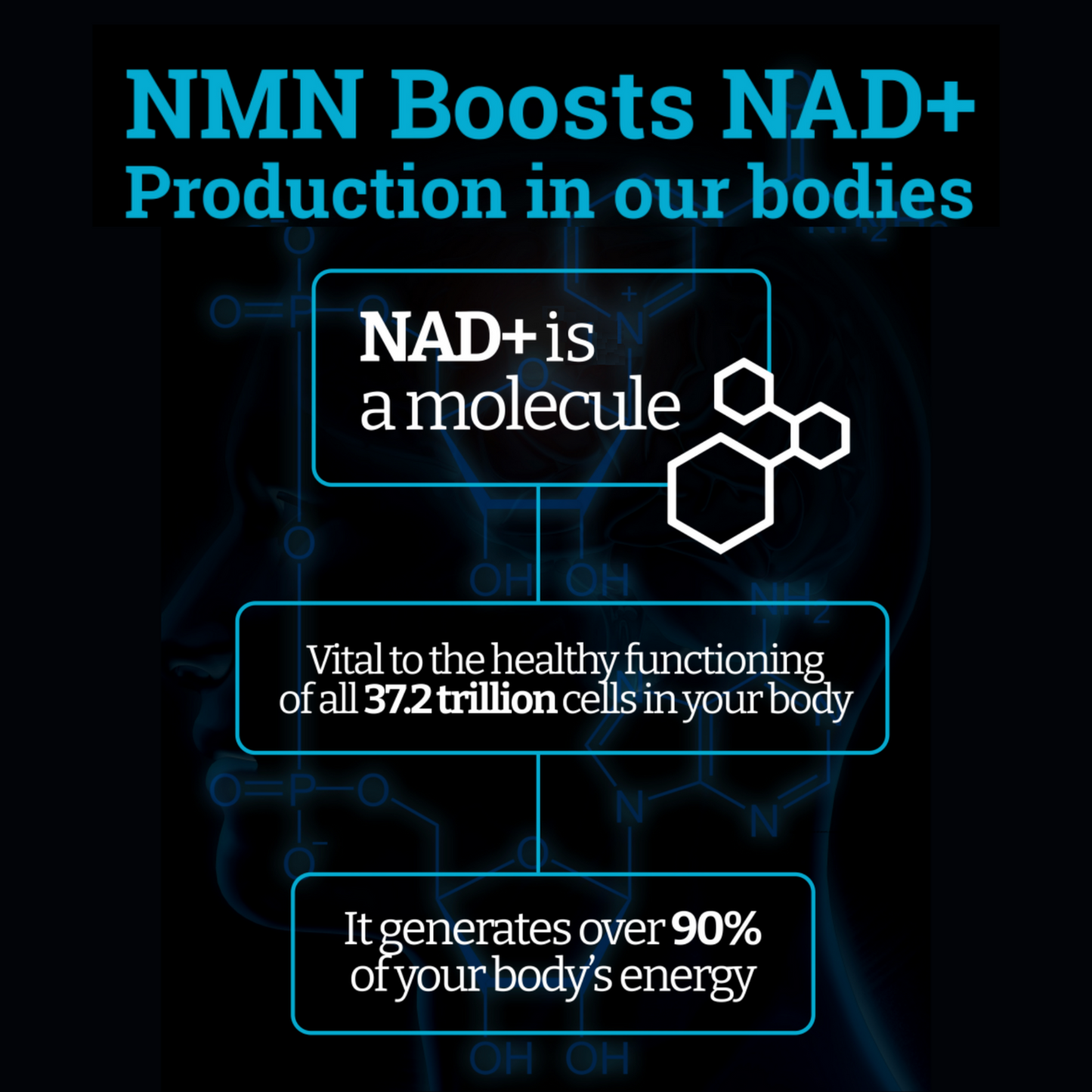 buy nmn supplement buy nmn online buy nmn