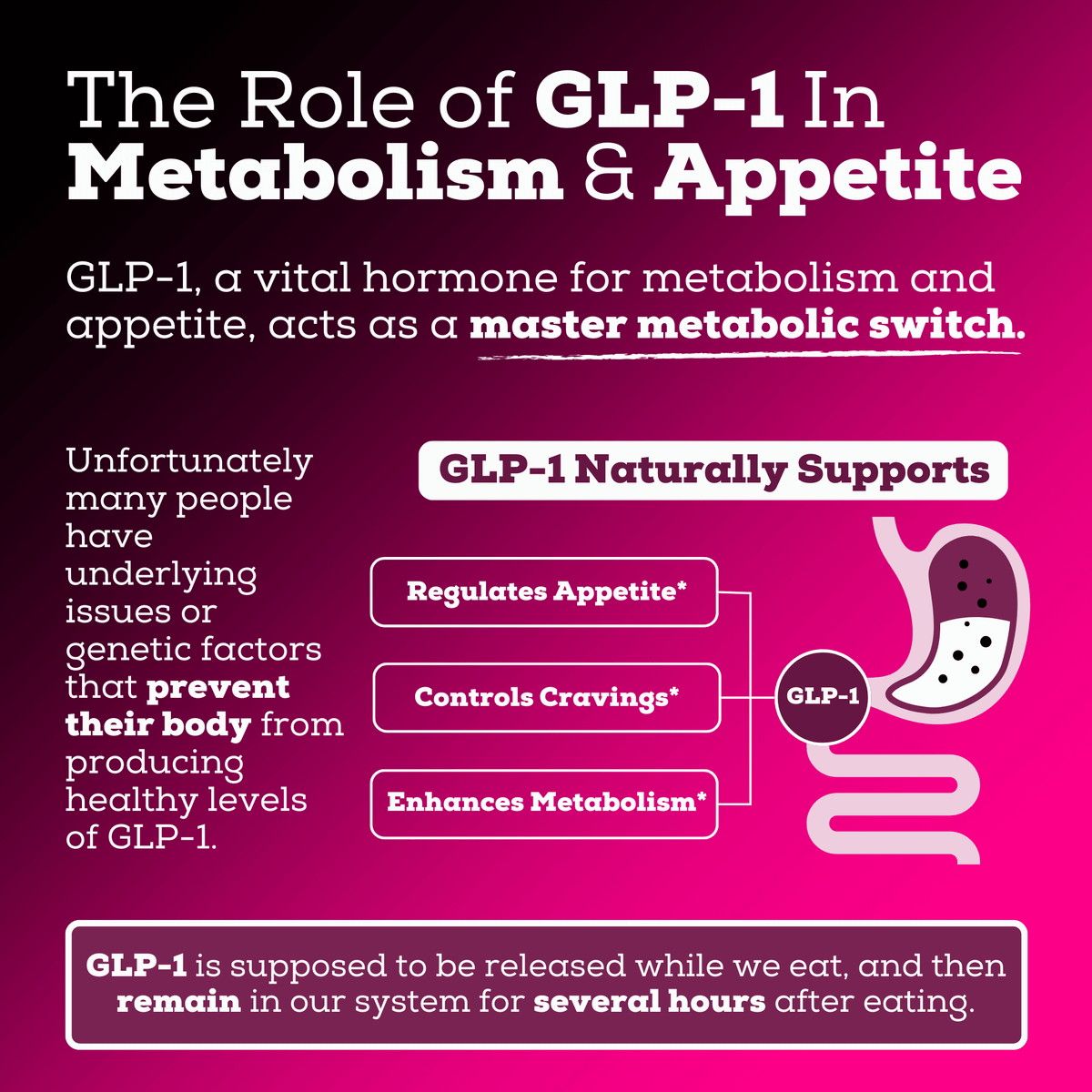 GLP-1 5-IN-1 Support 3260 MG | Ozempic's Killer
