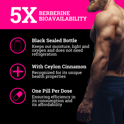 berberine biovalibility banner