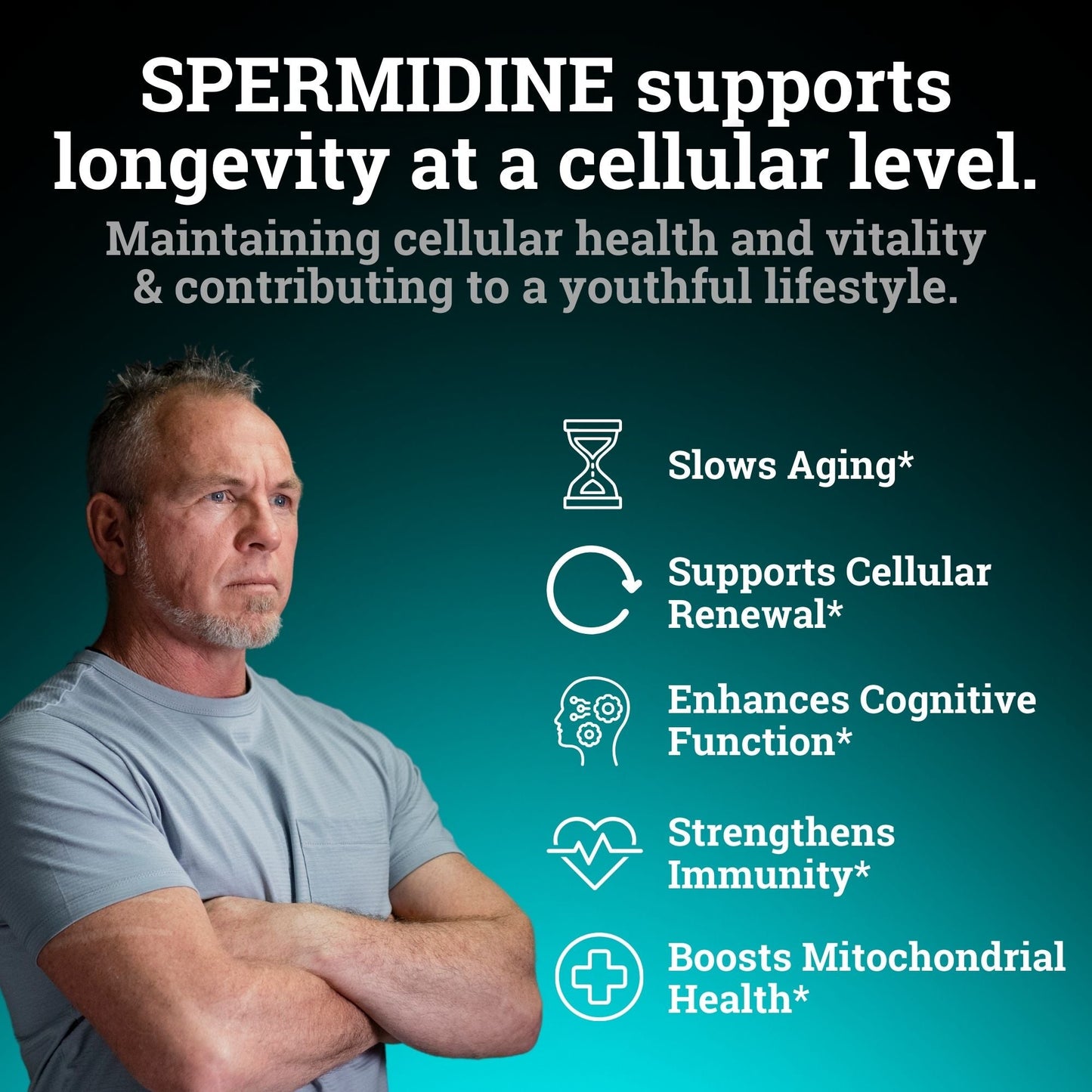 Spermidine 1440MG | 12MG Per Capsule | 4 Month Supply