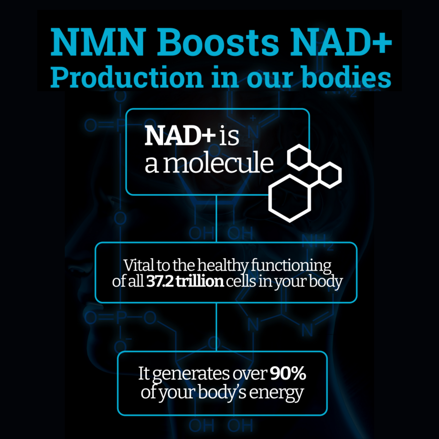 buy nmn supplement  buy nmn online  buy nmn