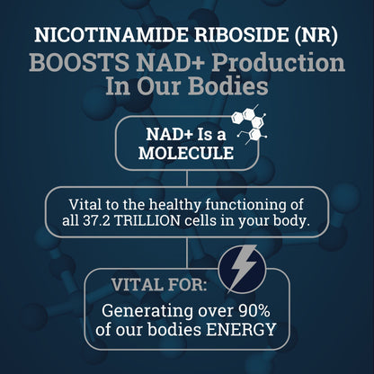 Nicotinamide Riboside (NR) 1550MG | With Quercetin & Resveratrol